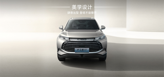 Fregata BYD07 100 km Tipo Elite
