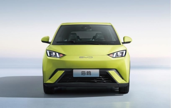 BYD Pure Electric 305KM Carro Compacto da Família