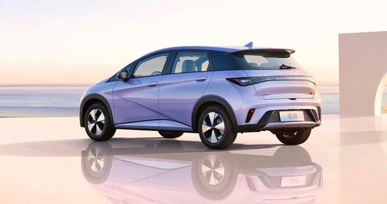 BYD Pure Electric Range 401KM Compacto Popular Doméstico Carro Dolphin