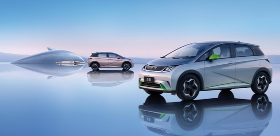 BYD Pure Electric Range 401KM Compacto Popular Doméstico Carro Dolphin