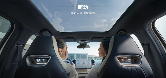 BYD 2025 Dolphin 520 km Knight Edition EV