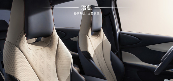 BYD 2025 Dolphin 520 km Knight Edition EV