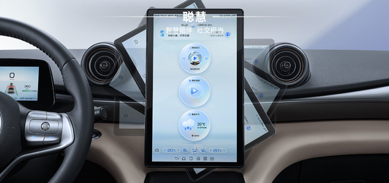 BYD 2025 Dolphin 520 km Knight Edition EV