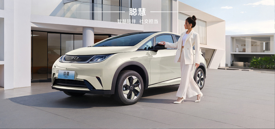 BYD 2025 Dolphin 520 km Knight Edition EV