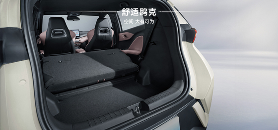 2025 BYD Haiou 305 km