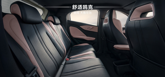 2025 BYD Haiou 305 km